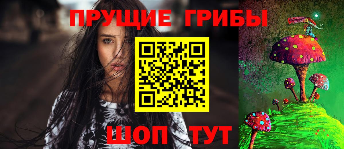 Псилоцибиновые грибы ЛСД  Псилоцибиновые грибы GOLDEN TEACHER  Вход с VPN  наркошоп  Димитровград 