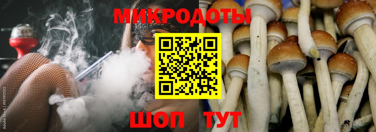 Псилоцибиновые грибы GOLDEN TEACHER Димитровград